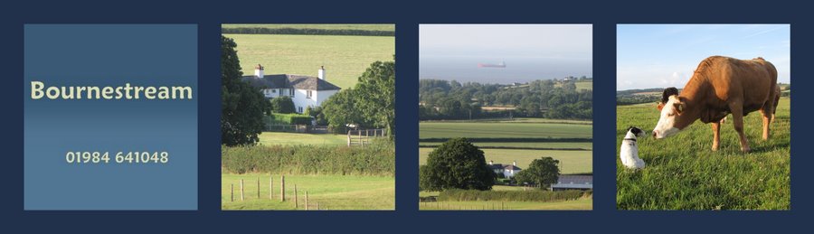 Banner for Bournestream B and B